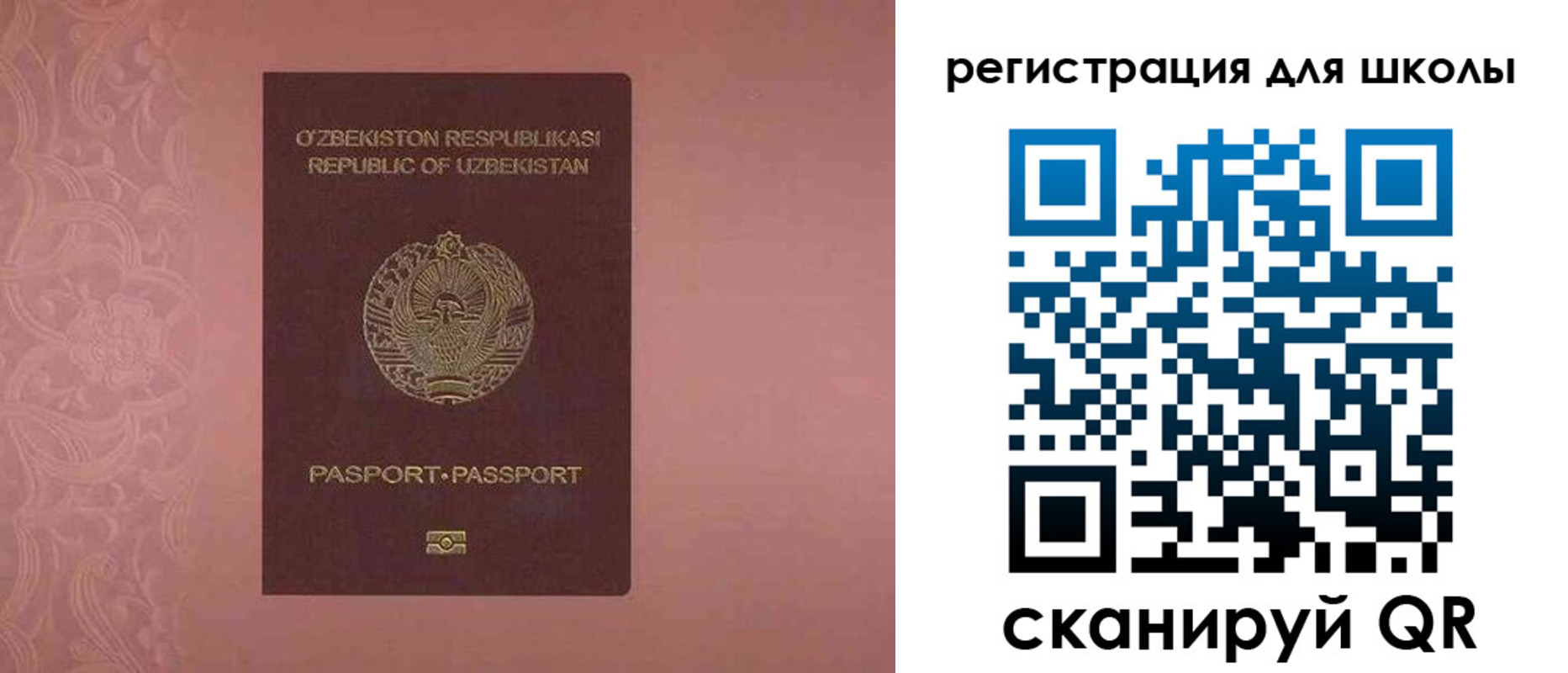 прописка для школы в Менделеевске